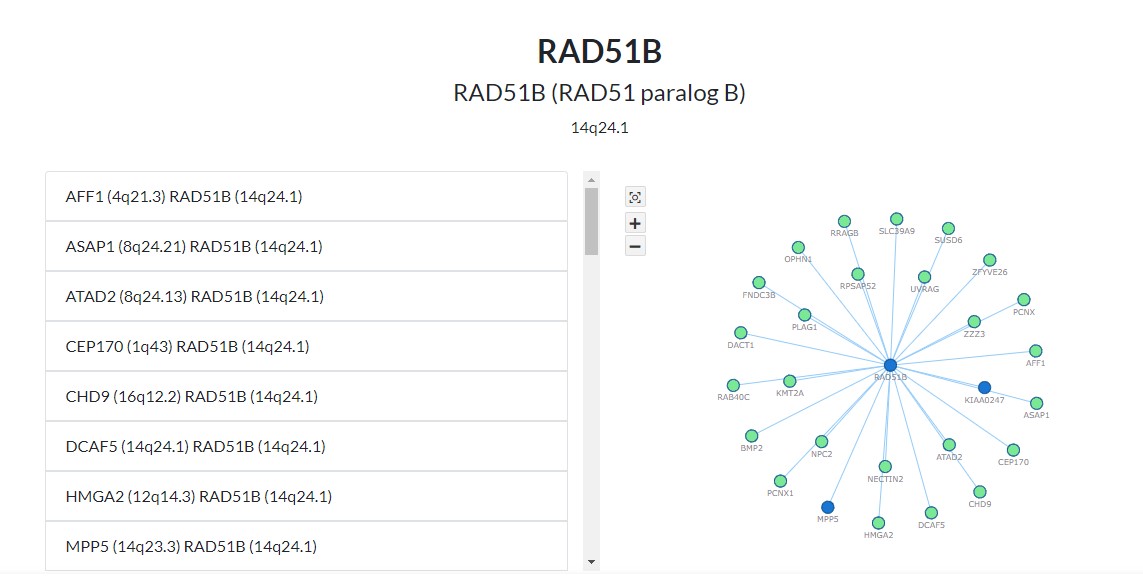 RAD51B partners